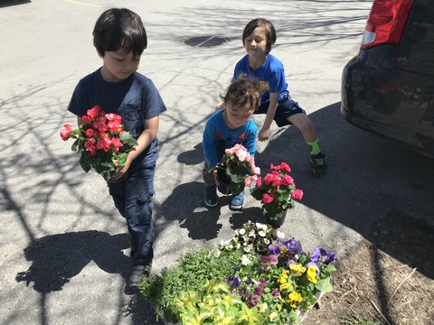 May 12, 2019