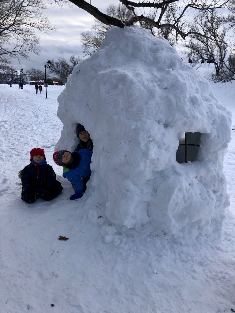 モントリオール生活 年 元旦は 雪遊び かまくらを 作る 窓付き