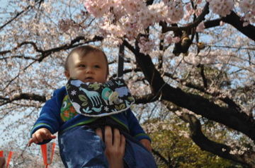 上野公園Apr5