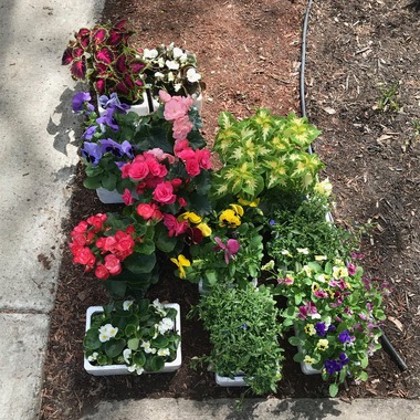 May 12, 2019