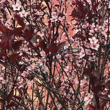 May 29, 2019