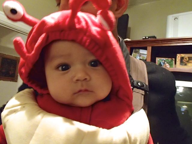 モントリオール生活 October 13