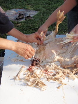 �����祦���Ӥ�ष��ष��