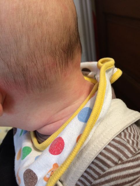 モントリオール生活 January 17 モントリオール生活 January 17