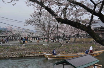 Apr10,2012 嵐山