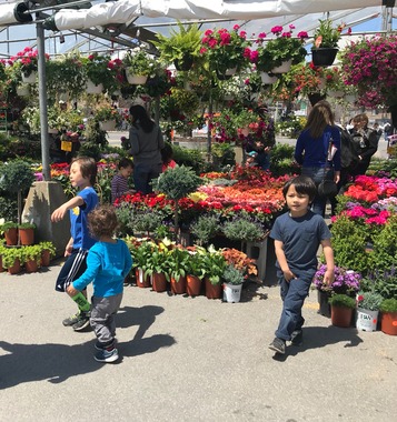 May 12, 2019