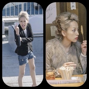 ����֥�Υ�����������