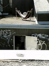 お隣さんも日向ボッコ&隣のインド料理店