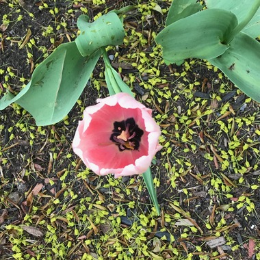 May 23, 2019