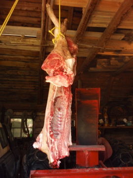 �ɤ�ɤ���Τ���Ƥ��ڤ����