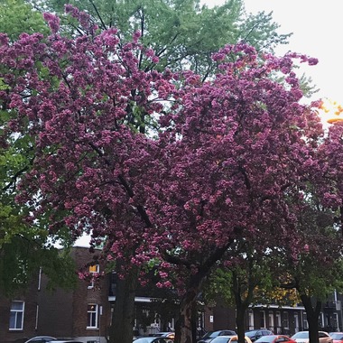 May 23, 2019