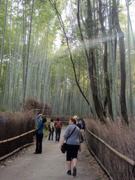 Apr10,2012 嵐山