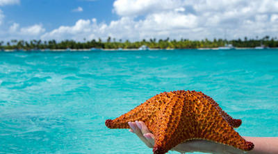 Starfish natural pool