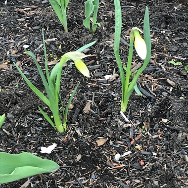 May 16, 2019