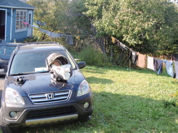 ���δ֡��٤٤ϥ��䥹��