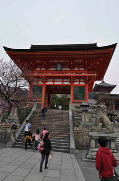 Apr10,2012 八坂神社
