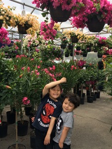 May 19, 2018