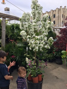 May 19, 2018