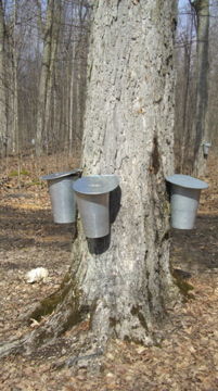 �᡼�ץ���ڤ˻ɤ��Ƥ���Х���