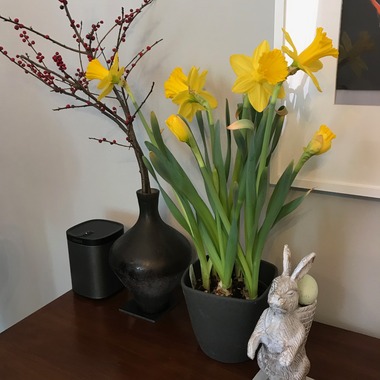 Apr 4, 2019