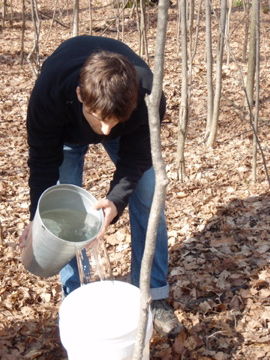 ���ե��åȡ�