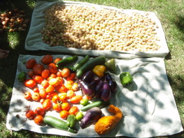 ¥°¥é¥ó¥É¥Á¥§¥ê¡¼ÂçÎÌ