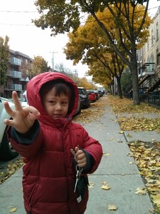 20141106
