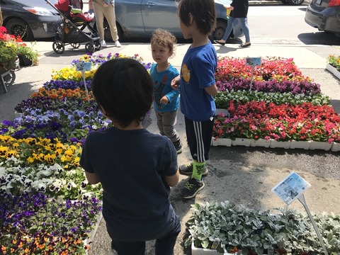 May 12, 2019