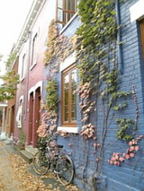 �ץ�ȡ��ν�