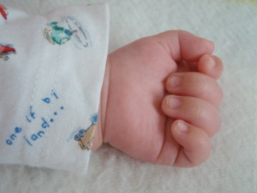 ����26��