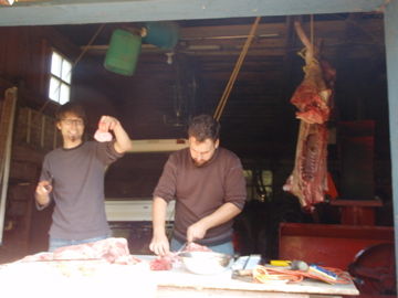 �ڤ���������