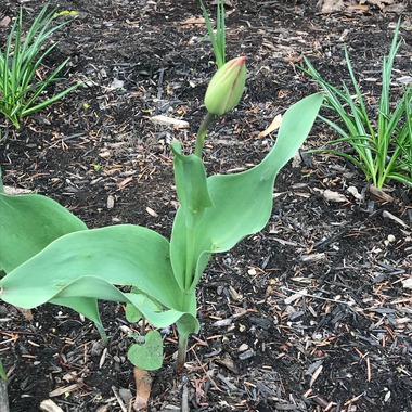 May 13, 2019