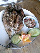 ���ѥ������äѤ���̣��������������ޤ���