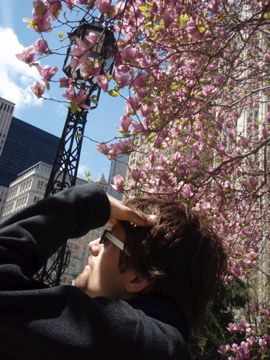 ¥Þ¥°¥Î¥ê¥¢