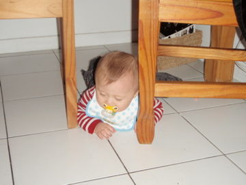 Jan24,2012�����˶��ޤ�