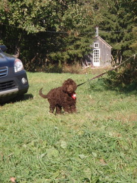 �Ҹ��Υƥ����