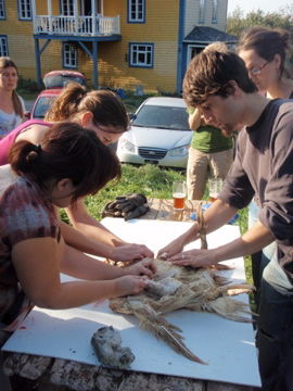 �����祦���Ӥ�ष��