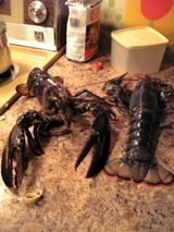 ���֥��������åץ�