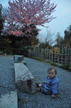 Apr10,2012 京都 高台寺
