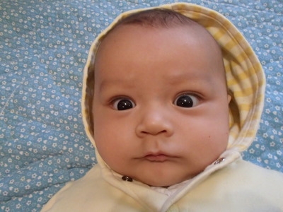 モントリオール生活 October 13