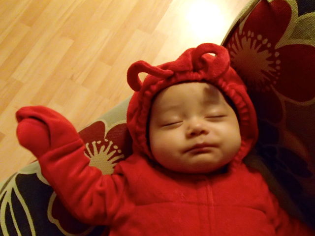 モントリオール生活 October 13