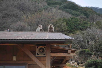Apr10,2012 嵐山
