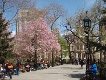 »ÔÄ£Á°¤Î¸ø±à