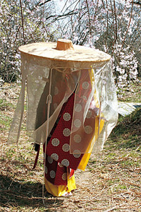 Ãî¿â¡Ê¤à¤·¤¿¡Ë¤ì¤®¤Ì»Ñ