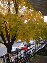 ���٤�ν��������