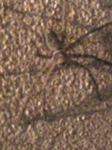 2bb7b31f.jpg