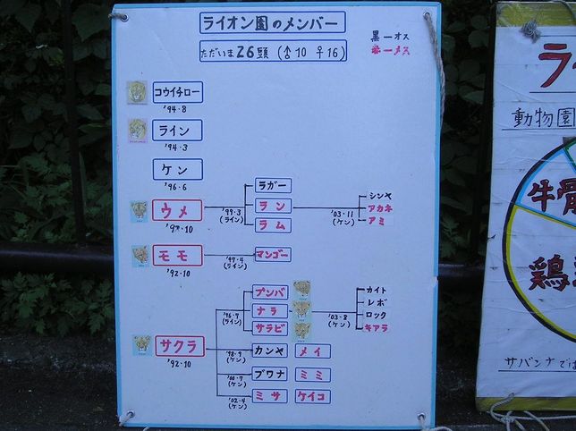 ティモンは北の大地で元気に暮らしています このへんの写真日記