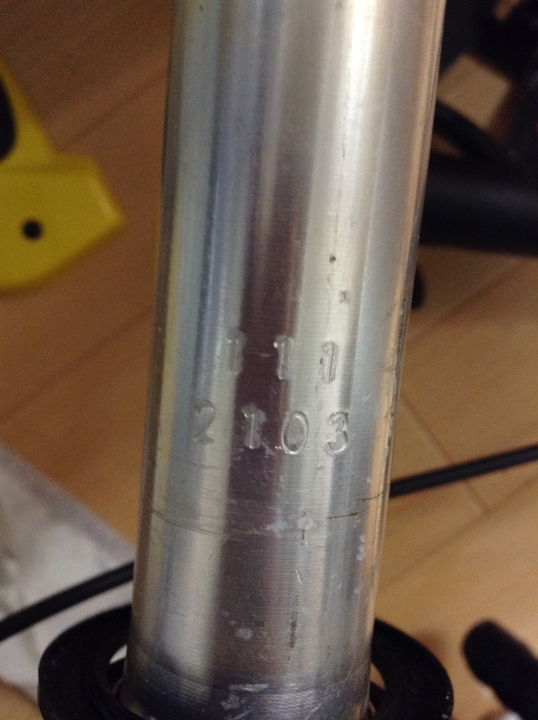 dahon visc にカーボンフォーク！ : あおしんごう