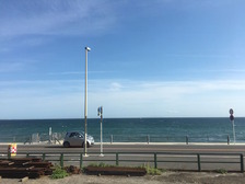 IMG_1578
