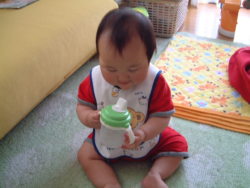 スパウトマグとひなぼーさん たまごやき くずれた